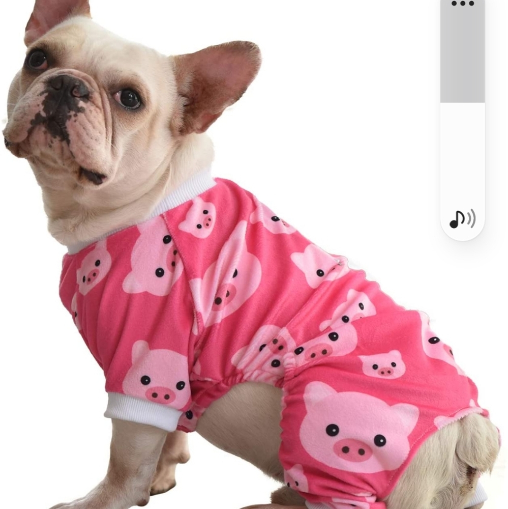 Dog pajamas